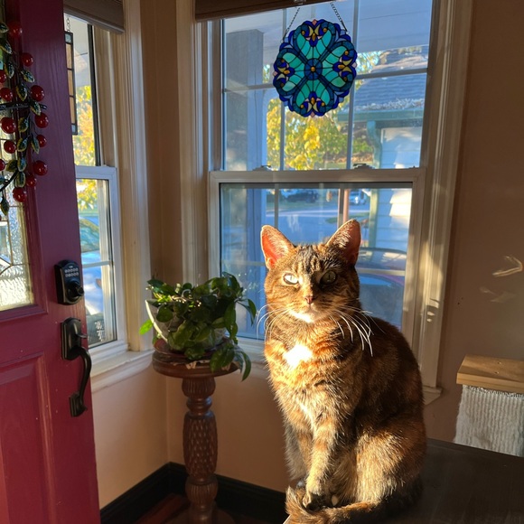 Meet your Posher, Sarah - Picture 1 of 2